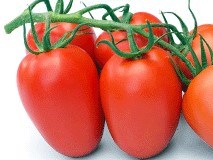 Романелла F1, семена томата индетерминантный (Syngenta / Сингента) - фото 6220