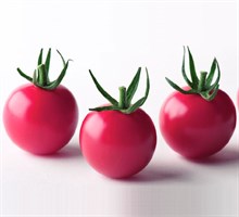 Рианна F1, семена томата индетерминантного (Sakata / Саката)