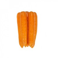 Фидра F1, семена моркови (Rijk Zwaan / Райк Цваан)