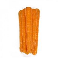 Морелия F1, семена моркови (Rijk Zwaan / Райк Цваан)