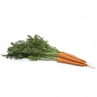 Вармия F1, семена моркови (Rijk Zwaan / Райк Цваан)