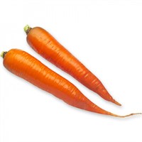 Каротан РЗ, семена моркови (Rijk Zwaan / Райк Цваан)