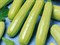 Сцилли F1, семена кабачка (Seminis / Семинис) - фото 4740