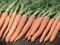 Небула F1, семена моркови (Seminis / Семинис) - фото 4844