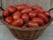 ХайПил -108 F1, семена томата детерминантный (Seminis / Семинис) - фото 5011