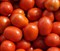Ферст F1, семена томата детерминантный (Seminis / Семинис) - фото 5014