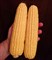 Трофи F1, семена кукурузы (Seminis / Семинис) - фото 5905