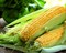 Спирит F1, семена кукурузы (Syngenta / Сингента) - фото 6080