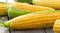 ГСС 3071 F1, семена кукурузы (Syngenta / Сингента) - фото 6083