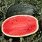 Мирсини F1, семена арбуза (Syngenta / Сингента) - фото 6202