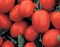 Фриско F1, семена томата детерминантного (Vilmorin / Вильморин) - фото 6508