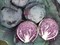 Руби Перфекшн F1, семена капусты краснокочанной (Takii Seeds / Таки Сидс) - фото 6779