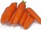 Тангерина F1, семена моркови (Takii Seeds / Таки Сидс) - фото 6817