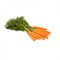 Джерада F1, семена моркови (Rijk Zwaan / Райк Цваан) - фото 7326